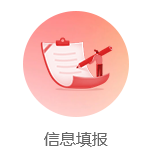 信息填报