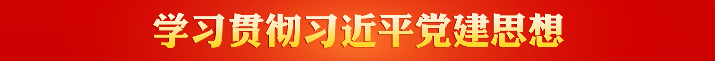 学习贯彻习近平党建思想