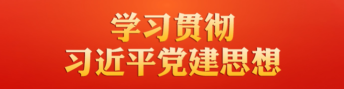 学习贯彻习近平党建思想