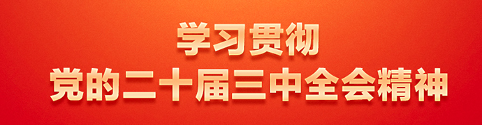 学习贯彻党的二十届三中全会精神